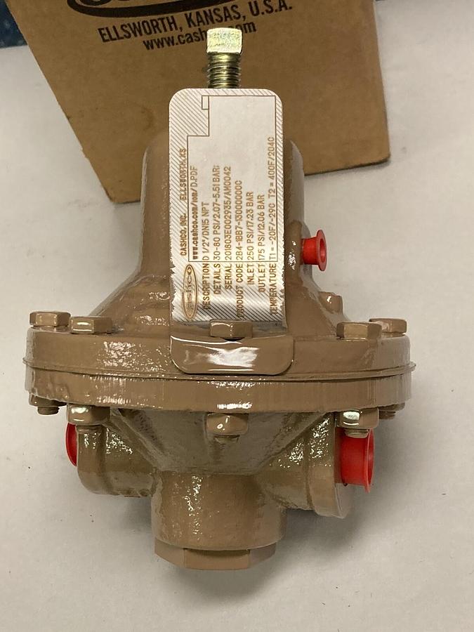Cashco,2B4-1BB7-13000000C,Pressure Regulator 1/2 Inch DN15 30-80PSI