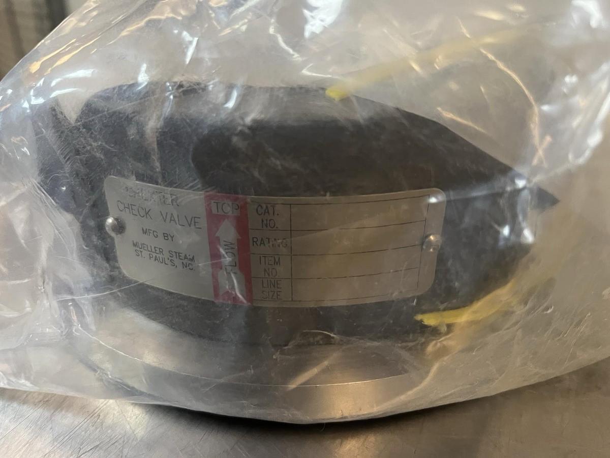 MUELLER CHEXTER,1-216-32-105,CHECK VALVE 1603-AC SIZE 4 RATING 300