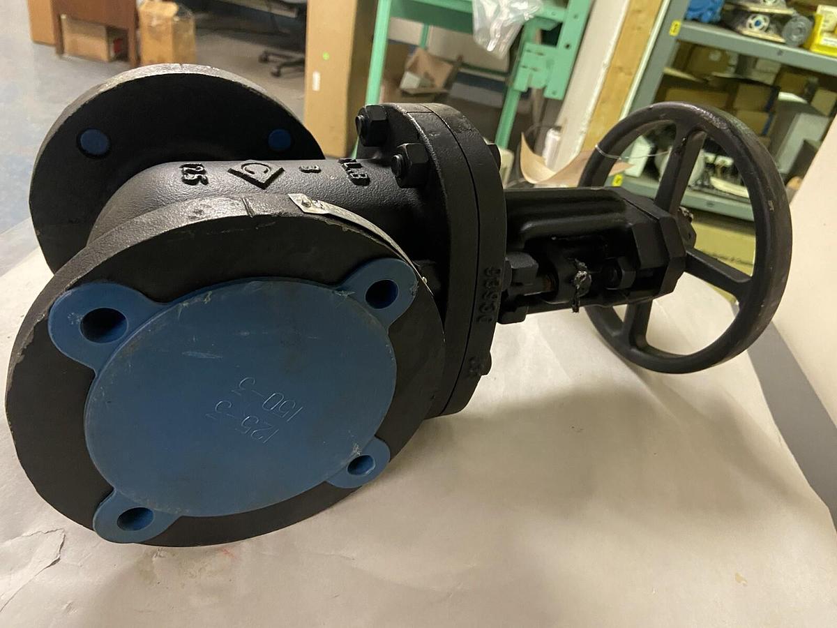 A&M Industrial,457739 STV G623-I,3 INCH Gate Valve 125#