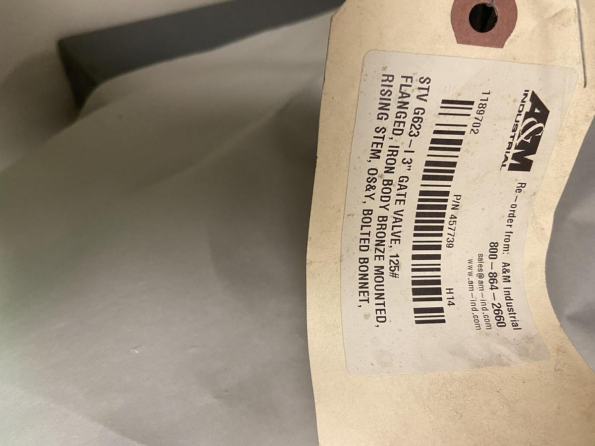 A&M Industrial,457739 STV G623-I,3 INCH Gate Valve 125#