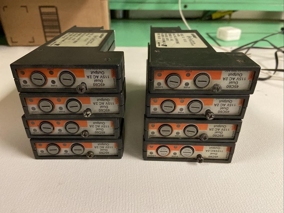 Used Reliance Electric AutoMate,45C60,Dual Output Module 120V 2A Lot of 8