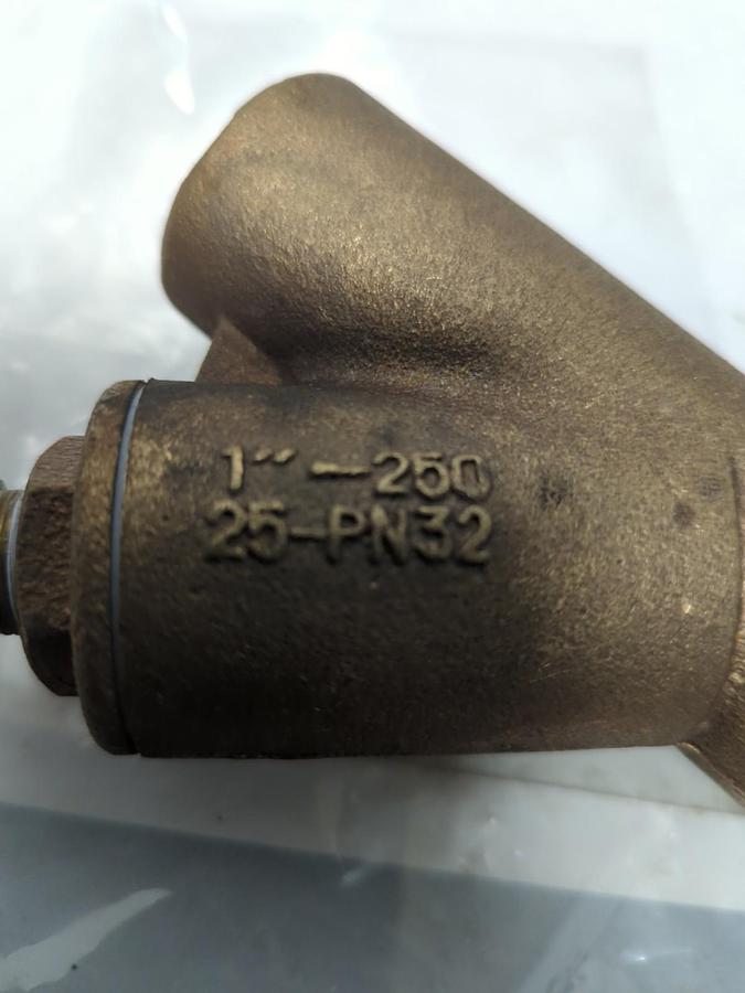 FABROTECH,LH557,STAINER 1 INCH NPT 25-PN32 NOS