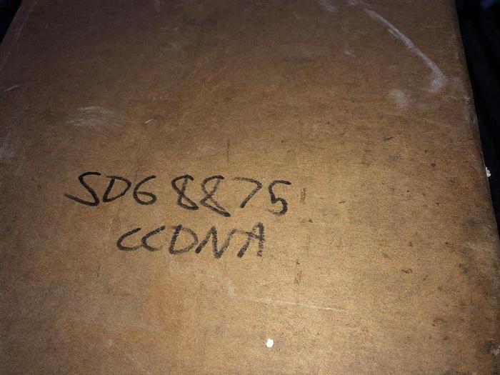 8-7/8" DTH SD6 Hammer Bit - SD68875CCBNA