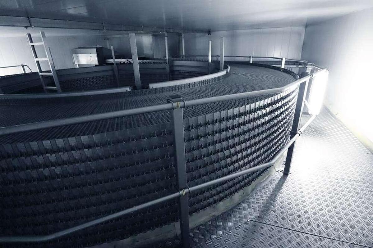 Gebruikt Frigoscandia spiral freezer