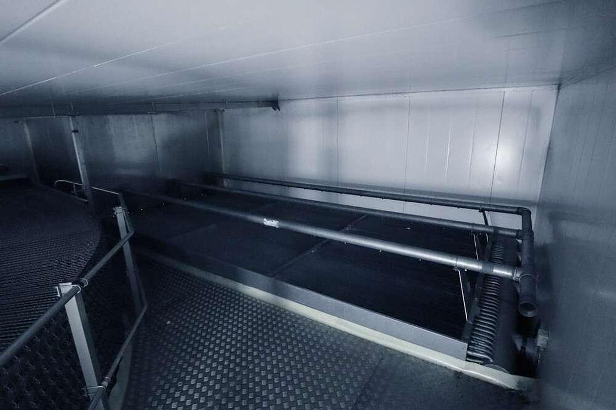 Gebruikt Frigoscandia spiral freezer