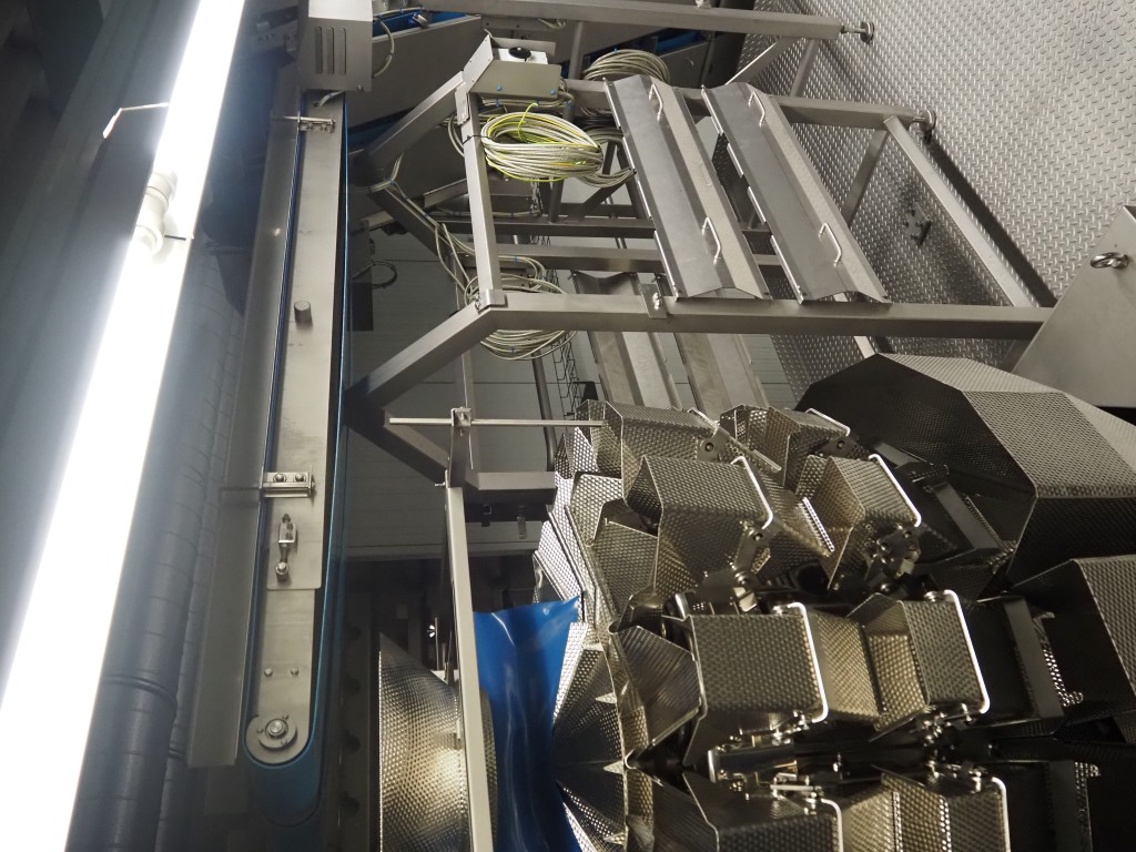 Ishida multihead weigher