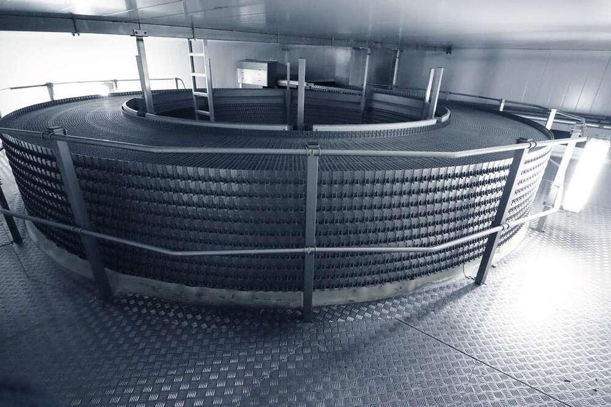 Used Frigoscandia spiral freezer