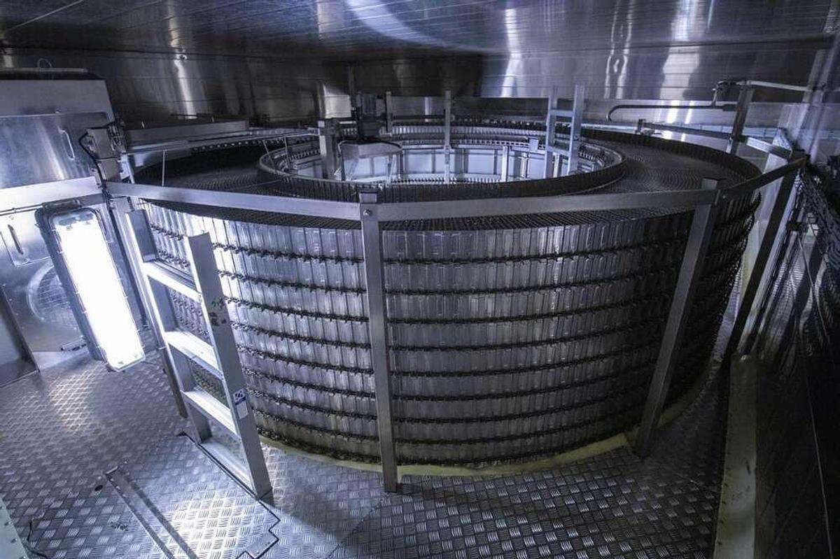 Gebruikt Frigoscandia spiral freezer