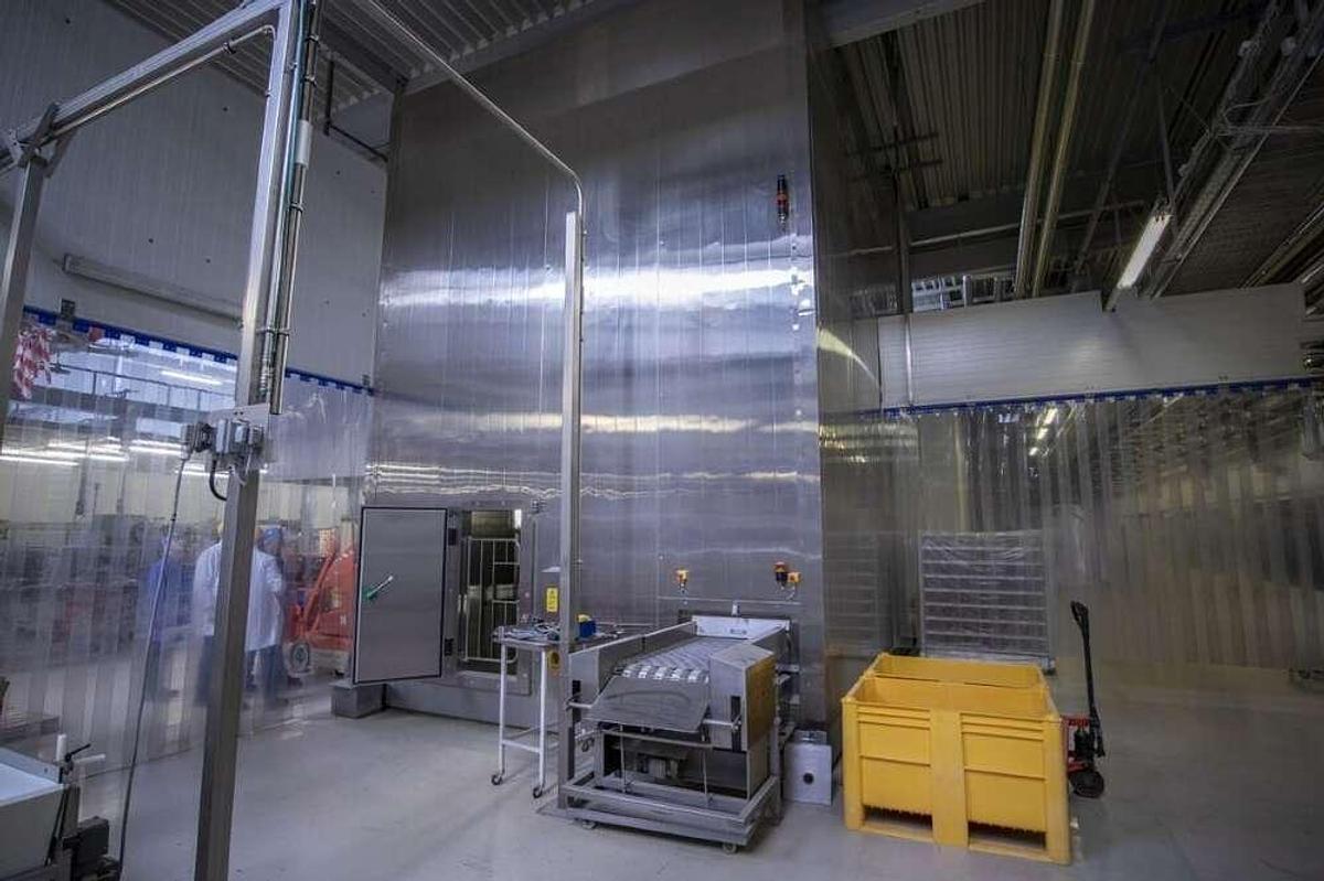 Used Frigoscandia spiral freezer