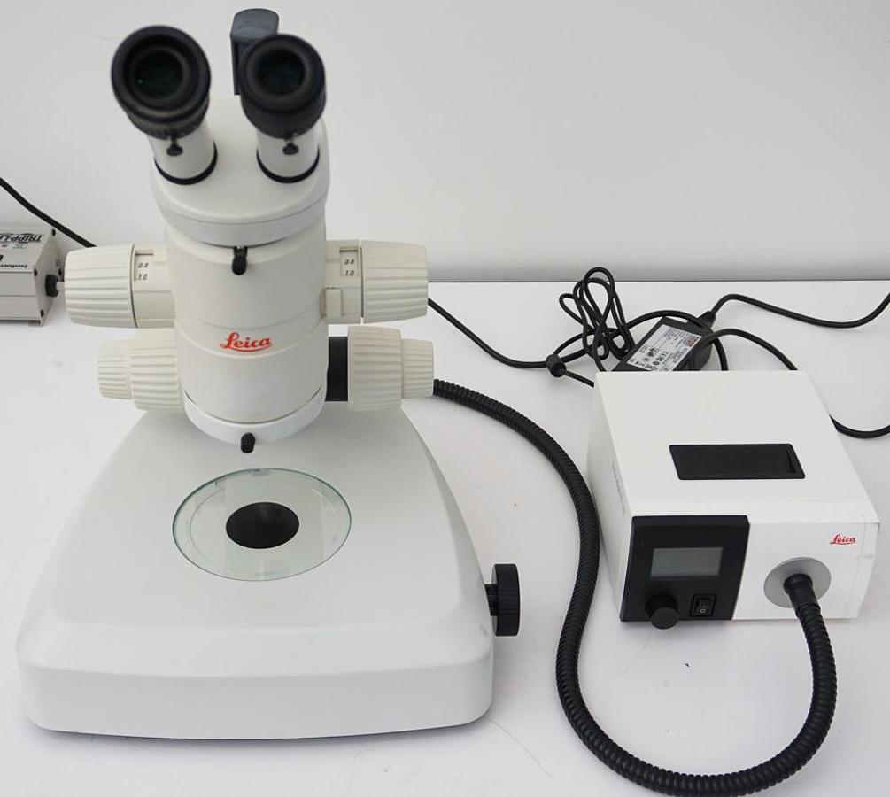 Refurbished Leica 12.5 Stereozoom microscope with transmitted light stand HL and CLS150LED fiber illuminator