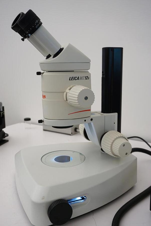 Refurbished Leica 12.5 Stereozoom microscope with transmitted light stand HL and CLS150LED fiber illuminator