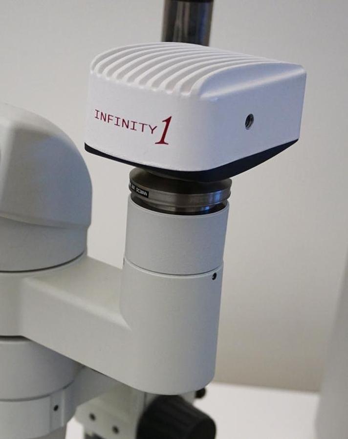 Refurbished Nikon SMZ800 with camera adaptor, LED light ring, Lumenera Infinity 1-5C 5mp USB camera