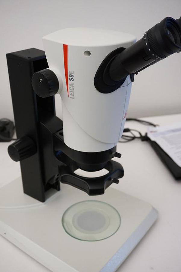 Refurbished Leica S9E stereozoom LED 2500 Incident and transmitted light stand