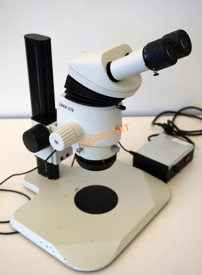 Used Leica MZ6 Stereozoom Microscope