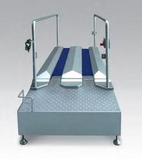 Roser Model 12988 Shoe Washer Walk Through System