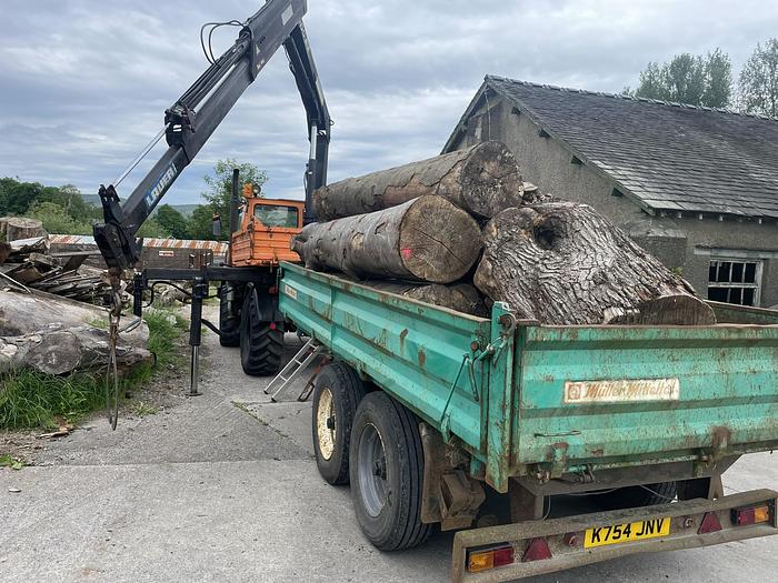 Used MUELLER-MITTELTAL