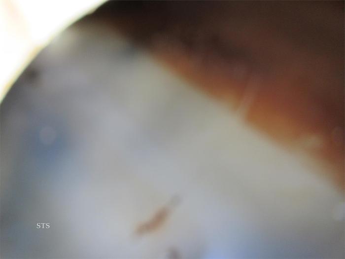 Used 2012 FORTITUDE 130 BBL 42'X96"