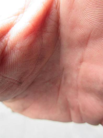 Used 2016 FREIGHTLINER BUSINESS CLASS M2 106