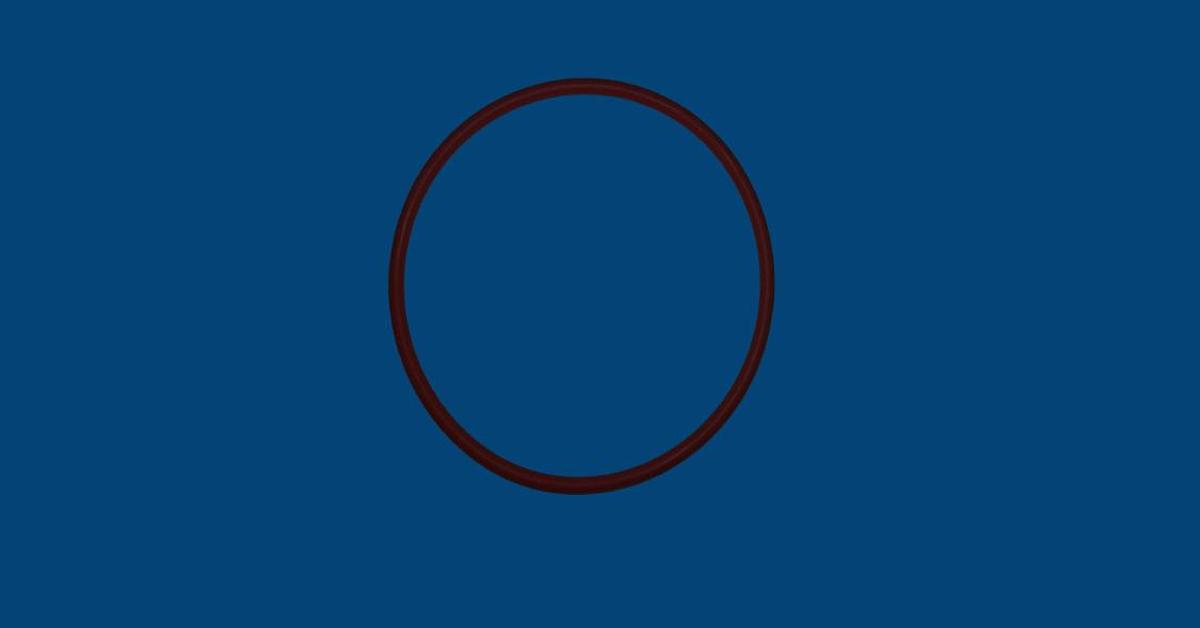 O-Ring