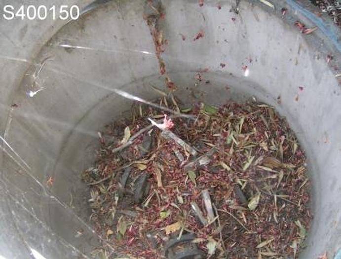 Used Filter, Vac, Nutsche, 36" Dia, S/st, #S400150