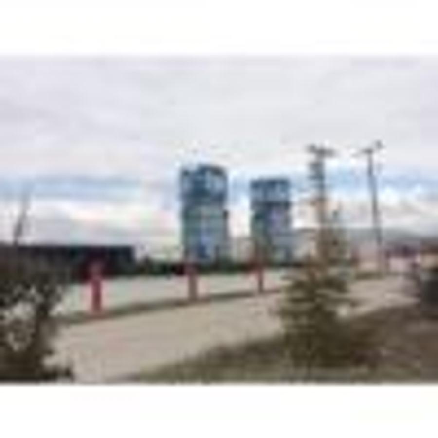 Industrial Dust Collector Silo