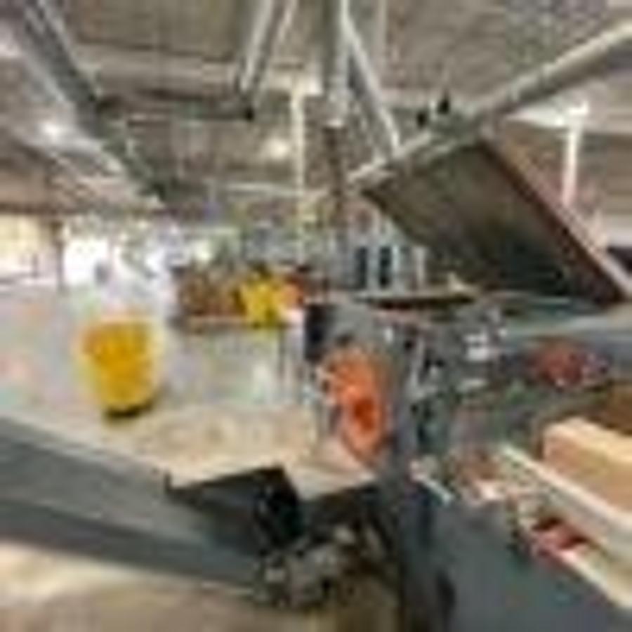 Double Edging and Slicing Cutter