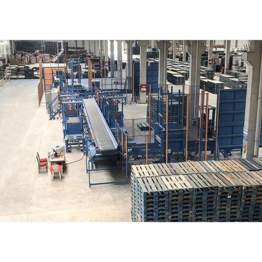 Pallet Repair and Sorting Line