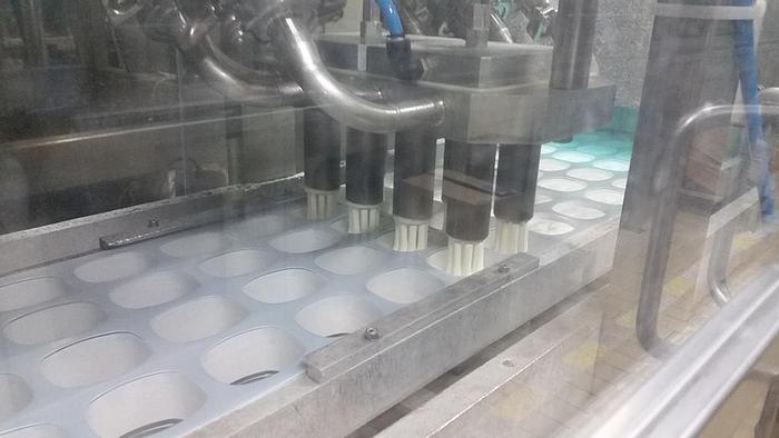 Used Filler, Form, Fill & Seal, ERCA, Model EF 320, #A741848