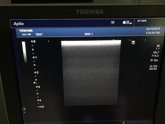 Gebraucht Toshiba Aplio 300 Ultraschallsystem mit 3 Sonden