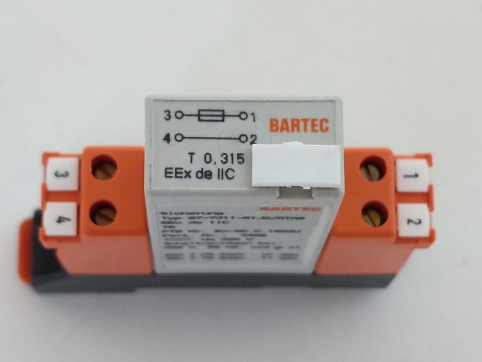 2 Stück Modex Ex Sicherungen, 0,315A, 07-7311-61J2ATA0, AC250V, 129203, Bartec neu