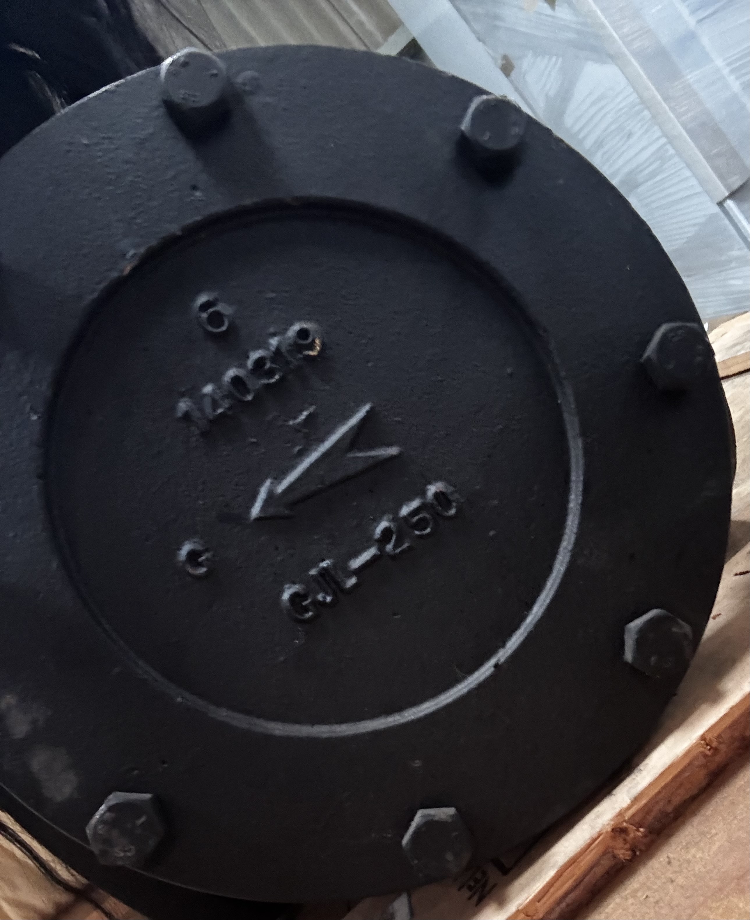 CRANE 6" Check Valve DN150 PN16