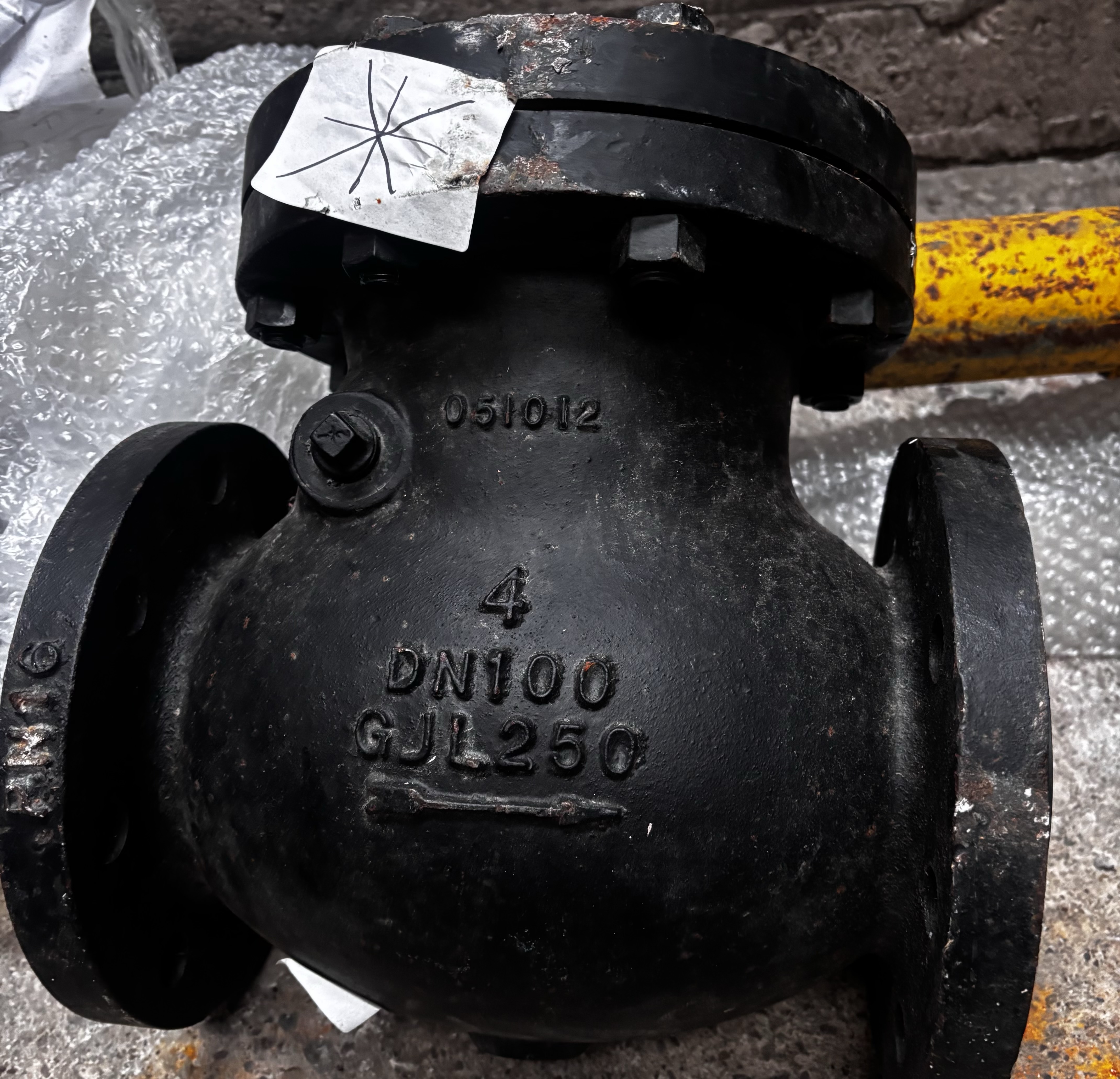 CRANE Cast Iron Check Valve PN16 DN100