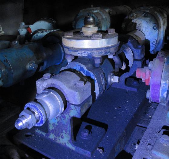 Used Pump, Moyno, 3/4 HP, 1", 316 S/st, Roper, Mdl 731025NNC209, #S618350