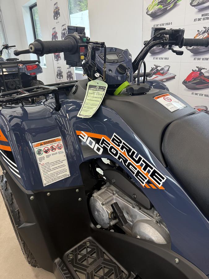 2024 Kawasaki BRUTE FORCE 300