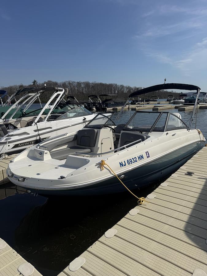 Used 2020 Stingray 201DS