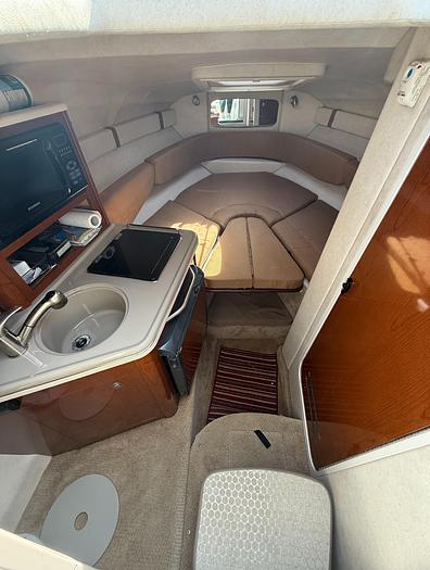 Used 2009 Sea Ray 240 Sundancer