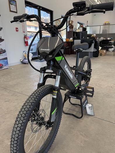 2025 Kawasaki Elektrode 20FS