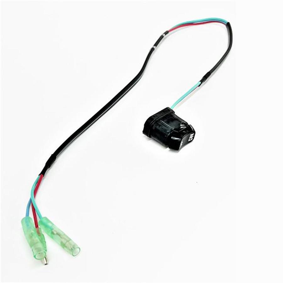 Trim Switch Replacement