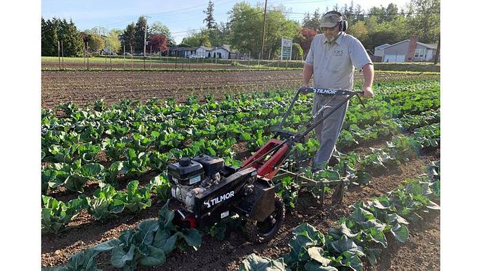 Tilmor Tractor 220A Power Ox 2-Wheel DriveTractor with Cultivator