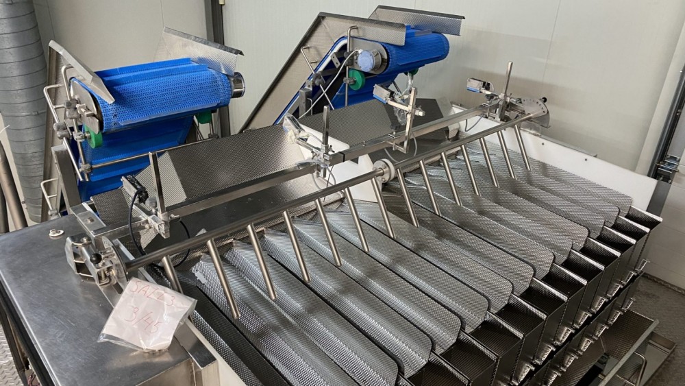 Used Newtec 14 channel weighing line