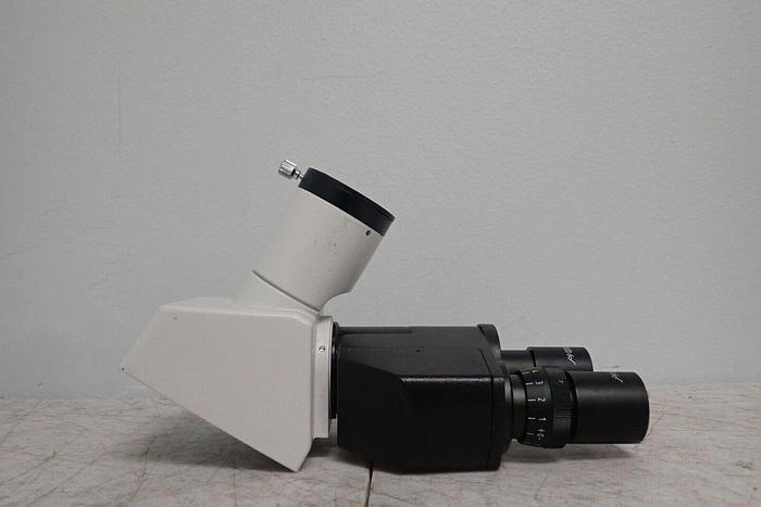 Used Unmarked Trinocular Microscope Head with 2 Eyepieces WF10X/20