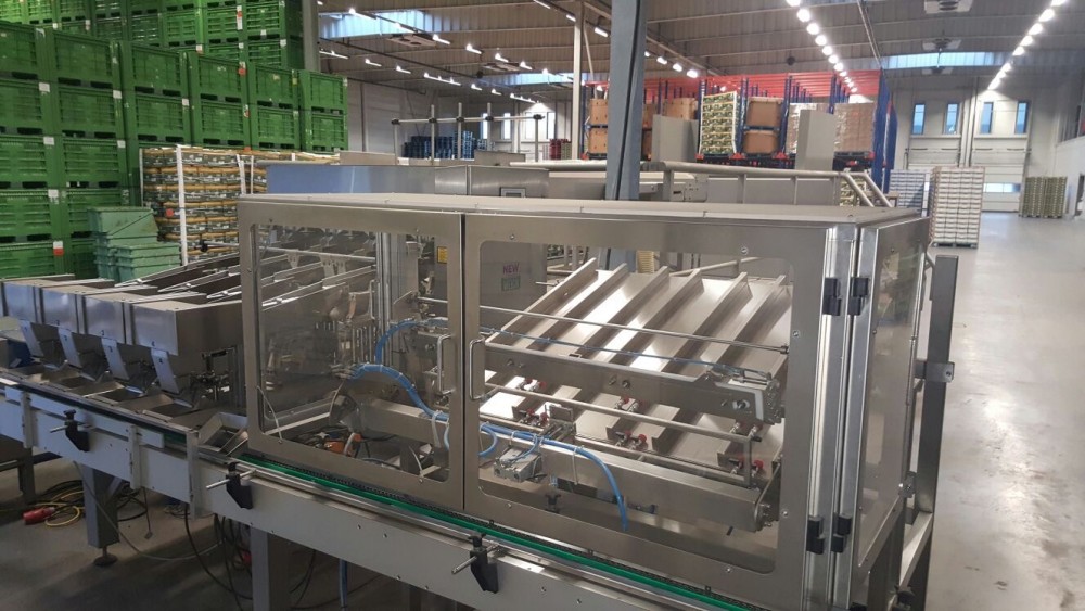 Used Newweigh lineair weighing and packing line