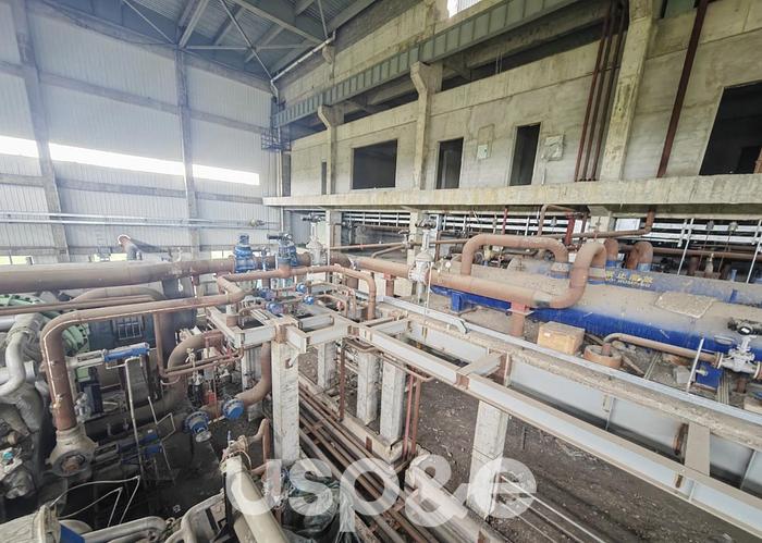 30 MW 2012 New Siemens SST 400 Biomass Power Plant