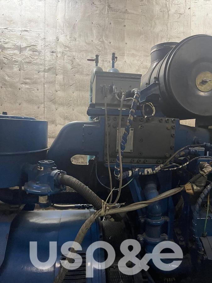 Used 1.2 MW 2019 Used MWM TCG 2016V12C Natural Gas Generator Set