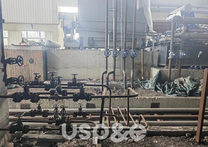 30 MW 2012 New Siemens SST 400 Biomass Power Plant