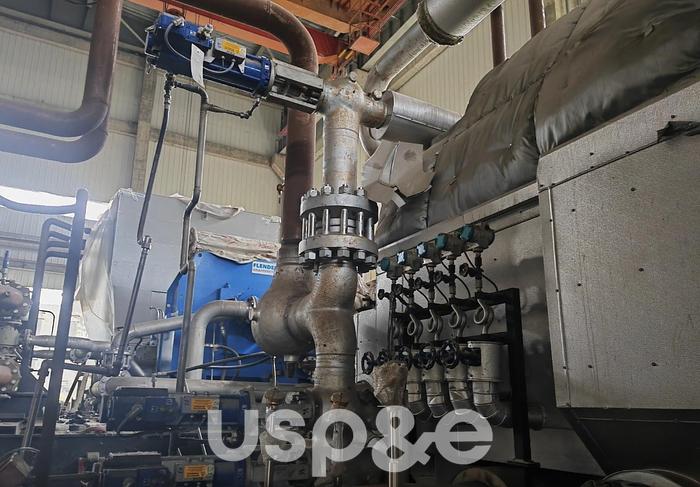 30 MW 2012 New Siemens SST 400 Biomass Power Plant