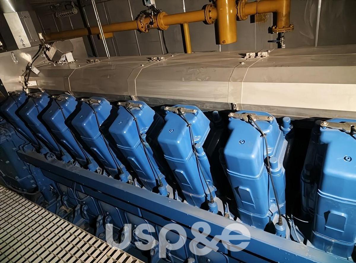 Used 2015 MWM TCG2032V16