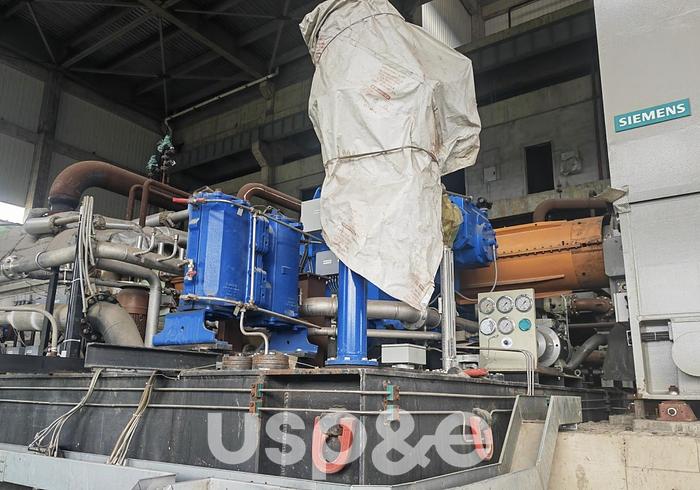 30 MW 2012 New Siemens SST 400 Biomass Power Plant