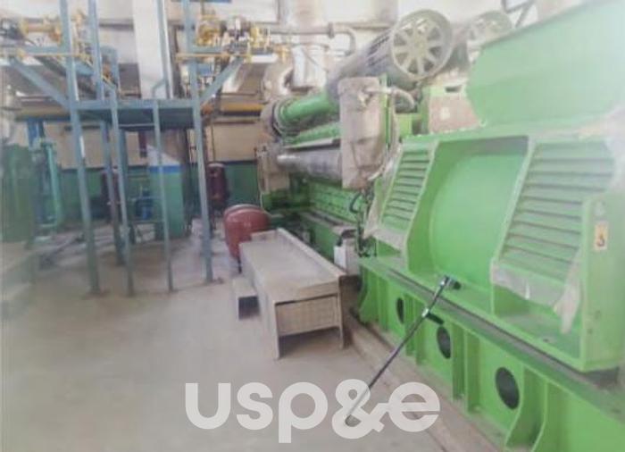 Used 2020 Jenbacher JGS-620