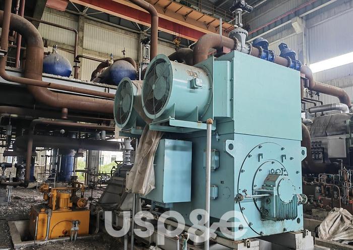 30 MW 2012 New Siemens SST 400 Biomass Power Plant